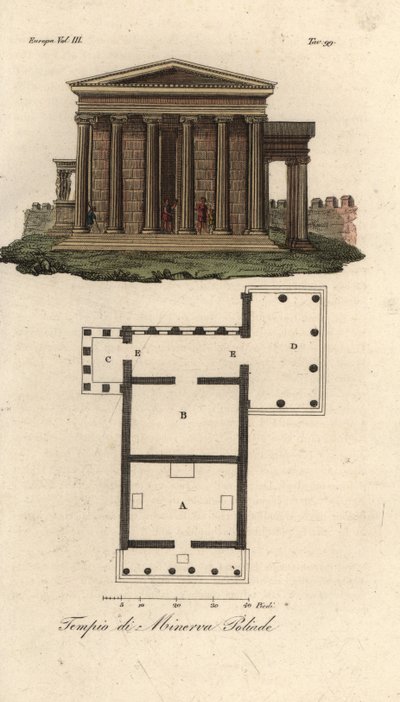 Erechtheionin tai Erechtheum A:n, Neptunuksen B temppelin, Minerva Poliasin temppelin ja Caryatidien C kuistilla sekä Pandrosuksen tai Pandrosion D:n temppelin suunnitelma ja korkeus tekijältä Unknown artist