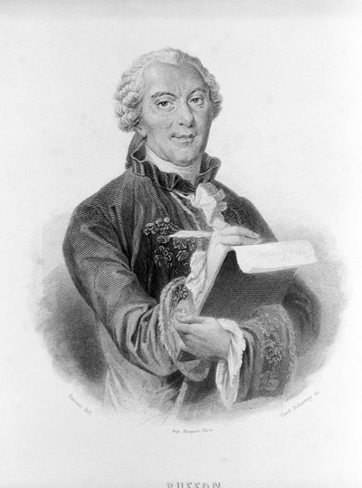 Muotokuva Buffonista (1707 - 1788), ranskalainen luonnontieteilijä ja kirjailija. tekijältä Unknown artist