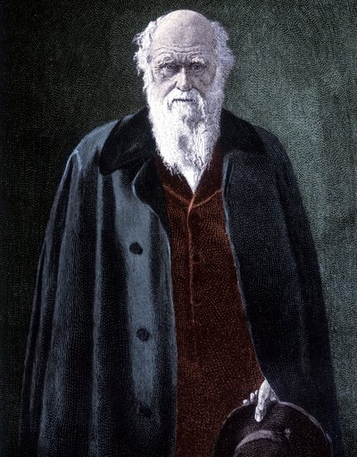 Charles Darwinin muotokuva, brittiläinen luonnontieteilijä (1809 - 1882) tekijältä Unknown artist