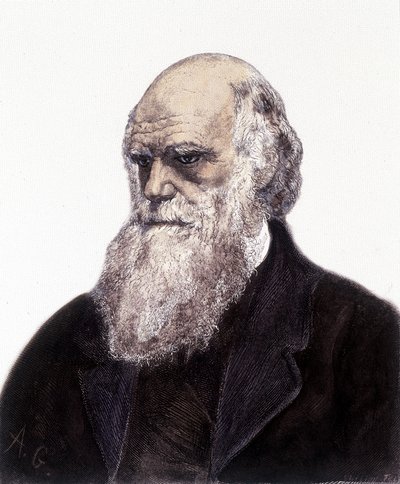 Charles Robert Darwinin muotokuva, brittiläinen luonnontieteilijä (1809-1882) tekijältä Unknown artist