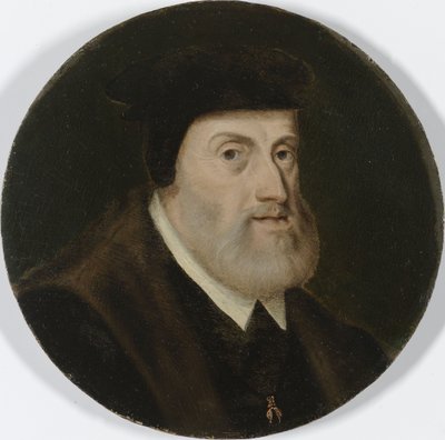 Kaarle V:n muotokuva, n. 1550 (öljy paneelille) tekijältä Unknown artist