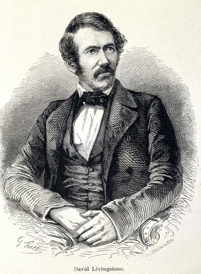 David Livingstonen muotokuva, skotlantilainen lähetyssaarnaaja (1813-1873) tekijältä Unknown artist