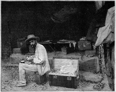 Tohtori Francois CROZATin (1858-1892) ranskalaisen tutkimusmatkailijan muotokuva tekijältä Unknown artist