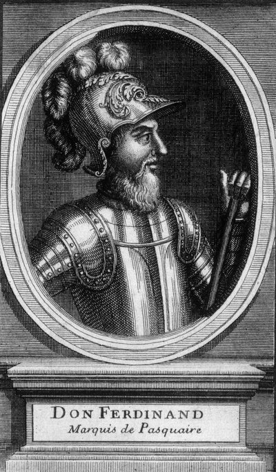 Don Ferdinandin muotokuva, markiisi de Pasquaire - n.d. tekijältä Unknown artist
