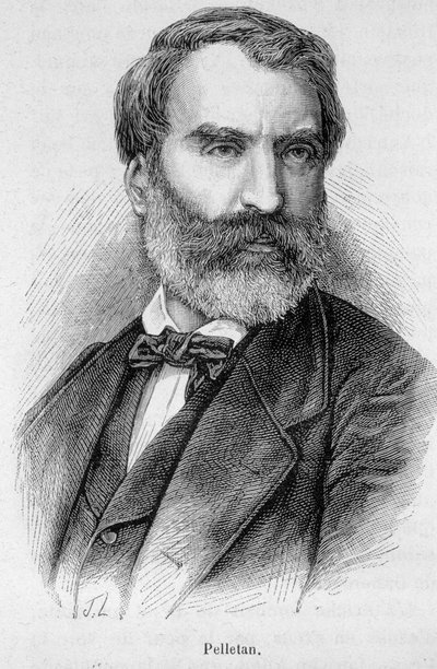 Eugene Pelletanin (1813-1884), ranskalaisen toimittajan, kirjailijan ja poliitikon muotokuva. tekijältä Unknown artist