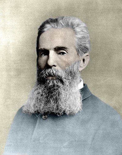 Amerikkalaisen kirjailijan Herman Melvillen (1819-1891) muotokuva. tekijältä Unknown artist