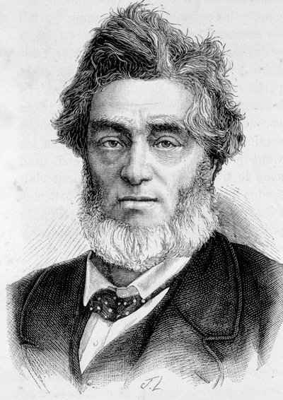 Ranskalaisen poliitikon Jules Favren (1809-1880) muotokuva. tekijältä Unknown artist