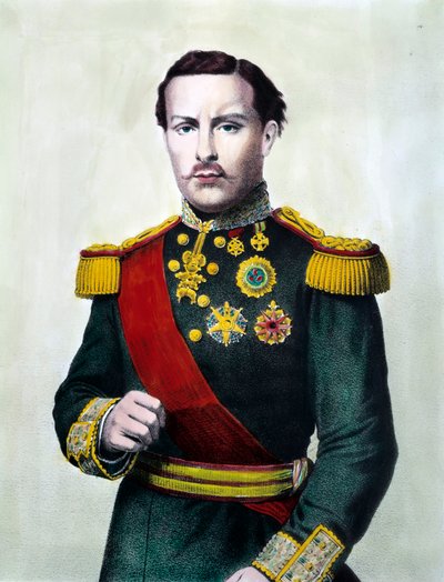 Portugalin Ludvig I:n (1838-1889) muotokuva Portugalin kuninkaan kaiverrus 1800-luvulta Yksityinen kokoelma tekijältä Unknown artist