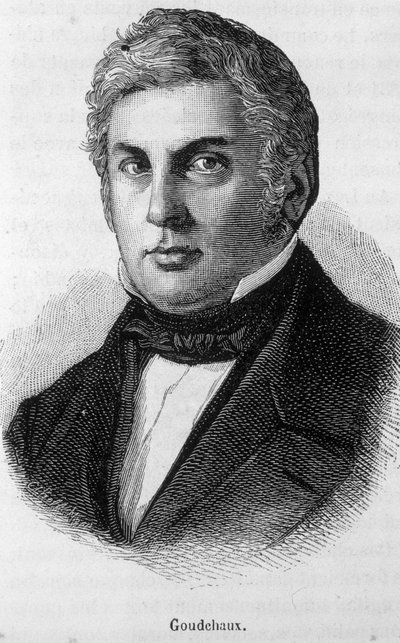 Michel Goudchaux
