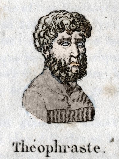 Muotokuva Teofrasesta (372 eKr.–287 eKr.), kreikkalaisesta filosofista. tekijältä Unknown artist
