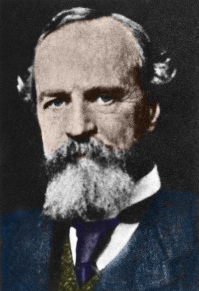 Muotokuva William Jamesista (1842-1910), yhdysvaltalaisesta pragmaattisesta filosofista. tekijältä Unknown artist