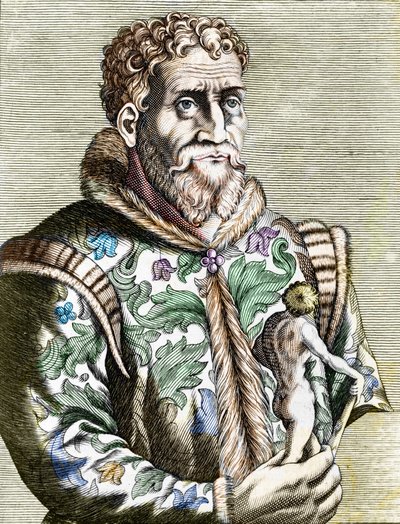 Italialaisen taidemaalarin Michelangelo Buonarrotin muotokuva tekijältä Unknown artist