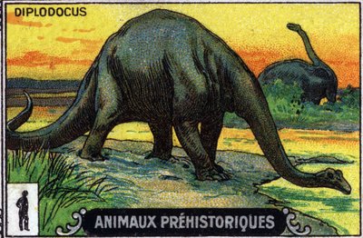 Esihistoriallinen eläin: Diplodokus-dinosaurus (chromo). tekijältä Unknown Artist