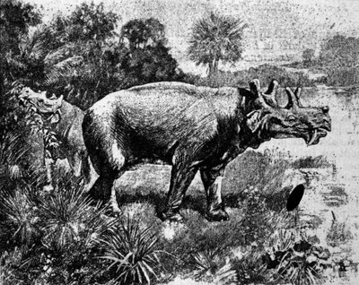 Esihistoria: esitys nelisarvisesta Uintatherium-dinosauruksesta. tekijältä Unknown artist