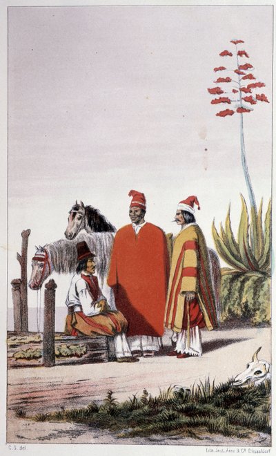 Yksityistä ja maalaistaloa, Buenos Aires - Skogman Carl Johan Alfredin ""First swedish circumnavigation"" -julkaisussa, toim. Tukholma, Adolf Bonnier tekijältä Unknown artist