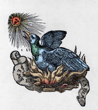 Esitys Fenixistä (tai Feeniksistä), legendaarisesta linnusta, joka syntyi uudelleen tuhkasta. Kaiverrus 1800-luvulta tekijältä Unknown artist