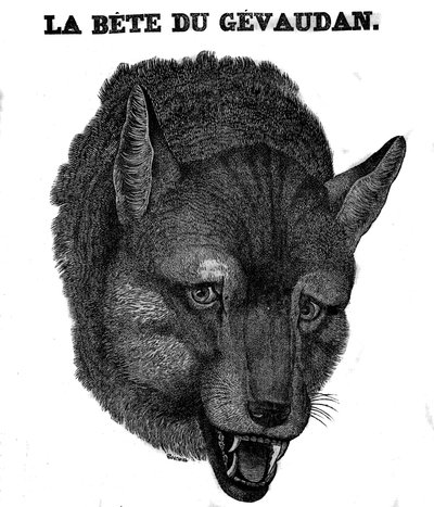 Bete du Gevaudanin edustus. tekijältä Unknown artist