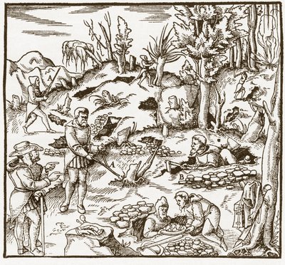 Rhabdomancy - rhabdomancie - Kaivoskentän tutkiminen ennustussauvan avulla - Miehet leikkaavat ja käyttävät ennustussauvoja mineraalien paikallistamiseen - Georgius Agricolan (Georg Bauer), Baselin teoksesta "" De re metallica" tekijältä Unknown artist