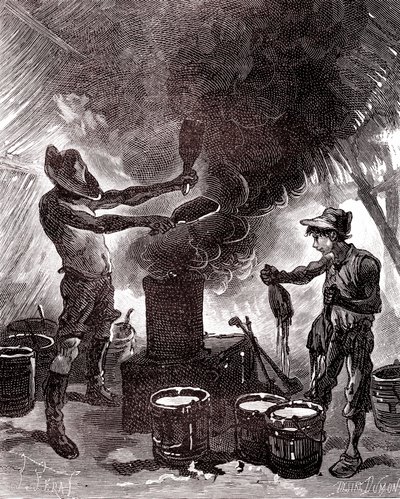 Kumin valmistus tai vulkanointi Brasilian metsässä tekijältä Unknown artist