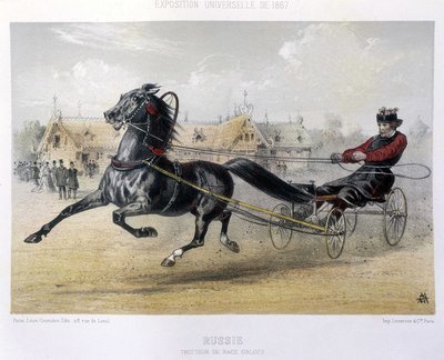 Venäjä: Orloff-rotu raviaja - elokuvassa "" The Centaur"" 1867 tekijältä Unknown artist
