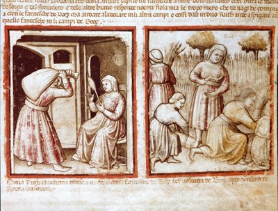 Ruth ja Noemi (Naomi, Noemie) työskentelevät Boazin (Booz) kentällä Miniatyyri koodista 212 (tai padovano codex tai Bible of Padova) 1390-1400 Rovigo, Accademia dei Concordi tekijältä Unknown artist