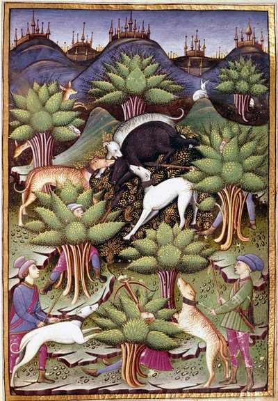 Kohtaus villisikametsästystä Miniatyyri elokuvasta "" Kohtele haukkametsästystä ja veneriehua Sforzan herttuan tunnuslauseella ja tunnuksella" 1459 (ms. 1375) Chantilly, Musee Conde tekijältä Unknown artist