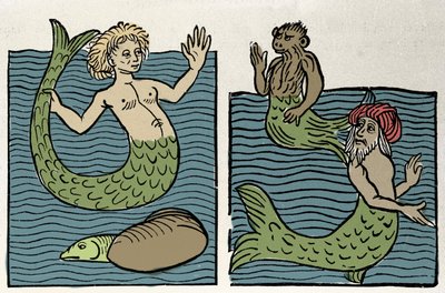 Sirene tai meren neitsyt, apina ja meriturkki. Kaiverrus kirjasta "Hortus sanitatis" tekijältä Unknown artist