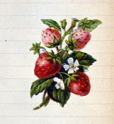 Mansikoita. 1800-luvun kromolitografia. tekijältä Unknown artist