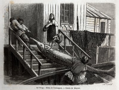 Samen kalastus Volga-joen suulla. Kaiverrus havainnollistamaan M. Moynetin Volga-matkaa vuonna 1864 Edouard Chartonin ohjauksessa julkaistussa "" Le tour du monde, nouveau journal des voyages" -julkaisussa tekijältä Unknown artist