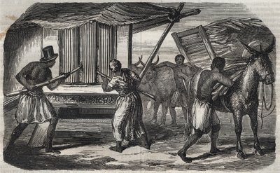 Sokerin valmistus: sokeriruokomylly sokeritehtaalla Länsi-Intiassa. Kaiverrus vuodelta 1859. tekijältä Unknown artist