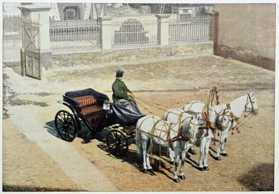 Kesätroika - valokuvaus, 1800-luvun loppu tekijältä Unknown artist