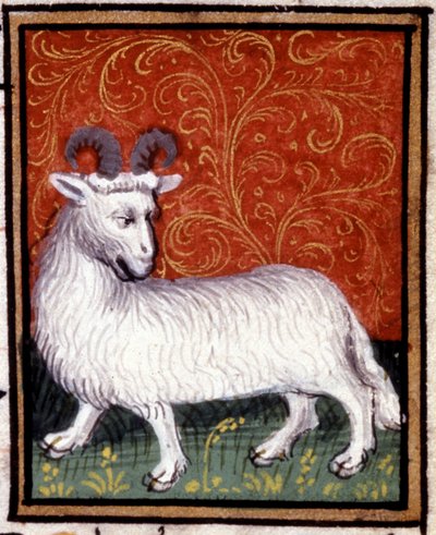 Oinas. Horoskoopin miniatyyri. 1500-luvun käsikirjoitus. Bibl. Trivulziana, Milano. tekijältä Unknown artist