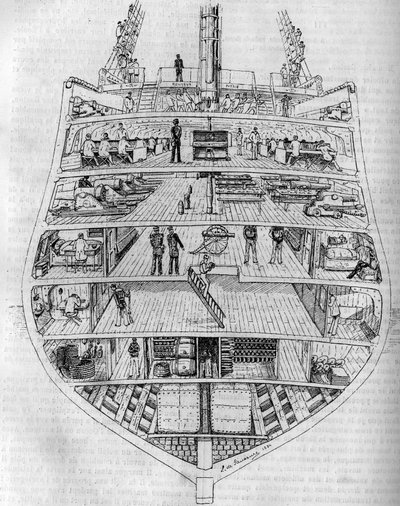 "Borda": veneen poikkileikkaus. M. L. de Saussuren piirustus. Kaiverrus "Le Journal de la jeunesse" tekijältä Unknown artist
