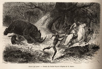 Sarvikuonon panos, joka kaataa ja vangitsee metsästäjät etsiessään kirjailijaa ja hänen oppaitaan. Sir Samuel W. Bakerin kaiverrus, joka havainnollistaa Niilin Abessinian sivujokien tutkimusta vuosina 1861-62, julkaistu "" Le tou -lehdessä tekijältä Unknown artist