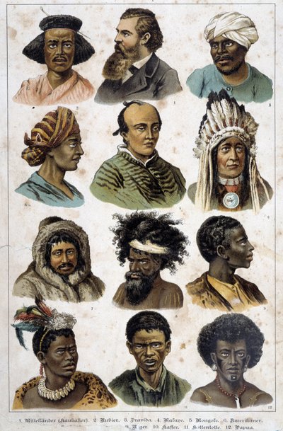 Eri ihmisrodut - julkaisussa "Nisäkkäiden luonnonhistoria", toim. Schreiber tekijältä Unknown artist
