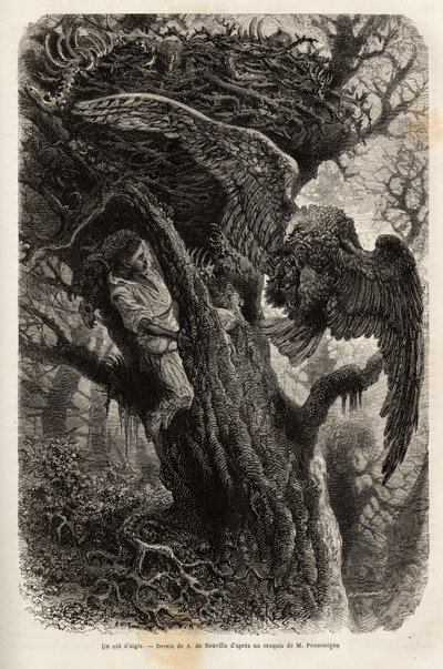 Kotka suojelee pesäänsä tunkeilijalta. Kaiverrus havainnollistamaan tarinaa Quatre mois en Florida, M. Pousselgue, 1851-1852, julkaistu "" le tour du monde" -julkaisussa, D