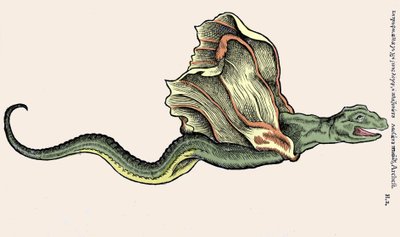 Lentävä lohikäärme Amphiptere (Amphithere tai Amphitere tai Amphipthere) Kaiverrus eläinten historiaan, Conrad Gesner (1516 - 1565), Tiguri tekijältä Unknown artist