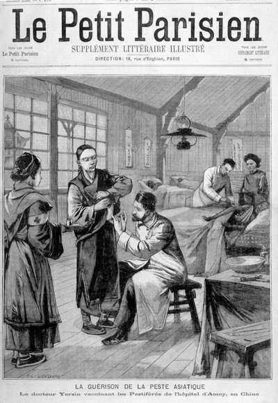 Aasian ruton paraneminen: tohtori Yersin rokottaa Amoyn sairaalan tuhoeläineläimiä Kiinassa - "" Le Petite Parisienissa" 2.7.1897 alkaen tekijältä Unknown artist