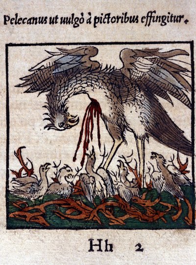 Pelikaanin legenda: hän antaa verensä ja suolinsa ruokkiakseen poikasia. Historiae animalium, Konrad Gesner, Tiguri tekijältä Unknown artist