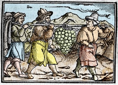Joosuan ja Kaalebin paluu valtavalla viinirypäleterällä Kanaanin maasta (luvattu maa). Johann Stumpffin kronika "" Den edlen strucen besten fromen"" tekijältä Unknown artist