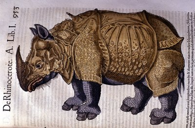Sarvikuono Conrad Gesnerin "History of the Animals" mukaan, Tiguri 1560 tekijältä Unknown artist