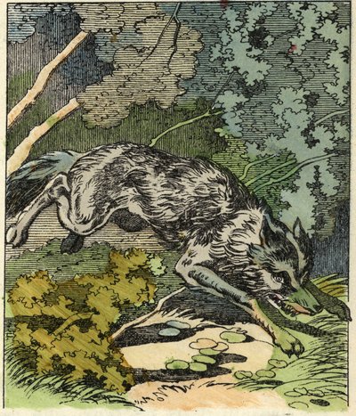 Susi juoksee isoäidin taloon. Kuvitus Charles Perraultin tarinasta "Punahilkka". tekijältä Unknown artist