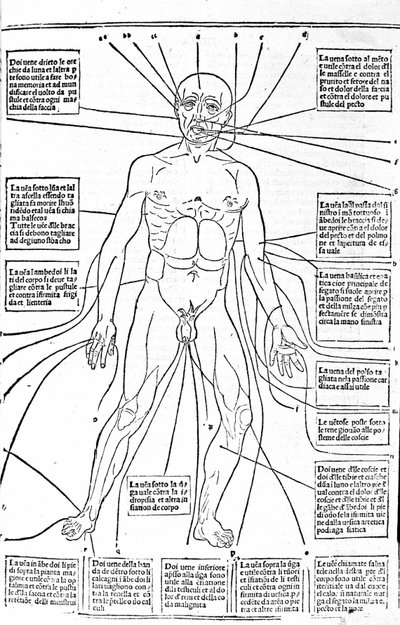 Tämä kuva näyttää kehon paikat tai harjoittele verenvuotoa kivusta riippuen. Gerolamo Cardanon (Cardanus Hieronymus), Firenzen tutkielma lääketieteestä tekijältä Unknown artist