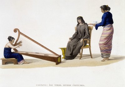 Erilaisia naisten pukuja Timorin saarelta (Coupang). tekijältä Unknown artist
