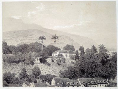 Näkymä taloista, jotka on otettu Boulevard de la Comedielta Saint Pierressä Martiniquella Antilleilla. Painatus valokuvan jälkeen 1800-luvun lopun Chartres musee des Beaux Arts tekijältä Unknown artist