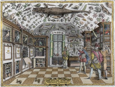 Näkymä farmaseutti Ferrante Imperaton (1550 - 1631) kurioosien museosta (kabinetista) (ensyklopedinen museo). Kaiverrus vuodelta 1678. Napolilaisen apteekin Ferrante Imperaton museo. tekijältä Unknown artist
