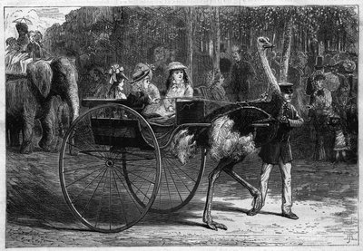 Kävele elefantin ja lasten selässä itävaltalaisten vetämässä cariolassa. Bois de Boulognen sopeutumispuutarha Pariisissa tekijältä Unknown artist