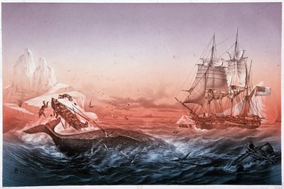 Valaanpyyntialus ei onnistunut pelastamaan kaatuneita valasveneitään tekijältä Unknown artist