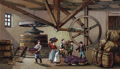 Viinintuotanto: Beaunen (clos vougeot) -hoitolaitoksen viinipuristin. 1800-luvun lopun kromolitografia tekijältä Unknown artist