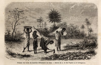 Naiset Zambezen rannoilta puhdistamassa kuokkaa ja tutustuttamassa lapsia maataloustöihin. Kaiverrus, joka havainnollistaa tohtori Livingstonen ensimmäisiä matkoja Etelä-Afrikkaan vuosina 1840-1856, "Le tour du monde, nouveau journal des voyages" -julkaisu tekijältä Unknown artist